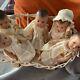 Vintage Madame Alexander Dionne Quints In Rocking Playpen